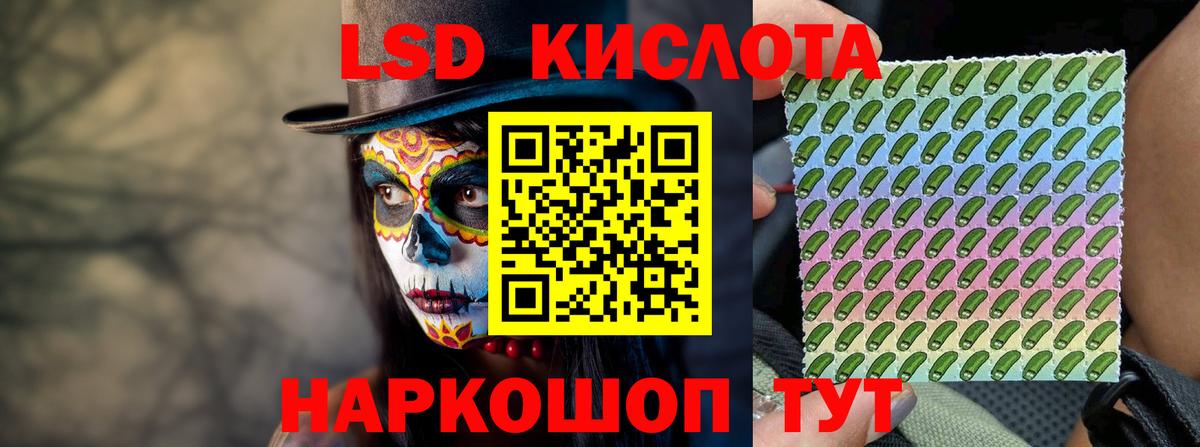 LSD-25 экстази ecstasy  LSD-25 экстази  Вход с VPN  Лесной  Лсд 25 экстази кислота 