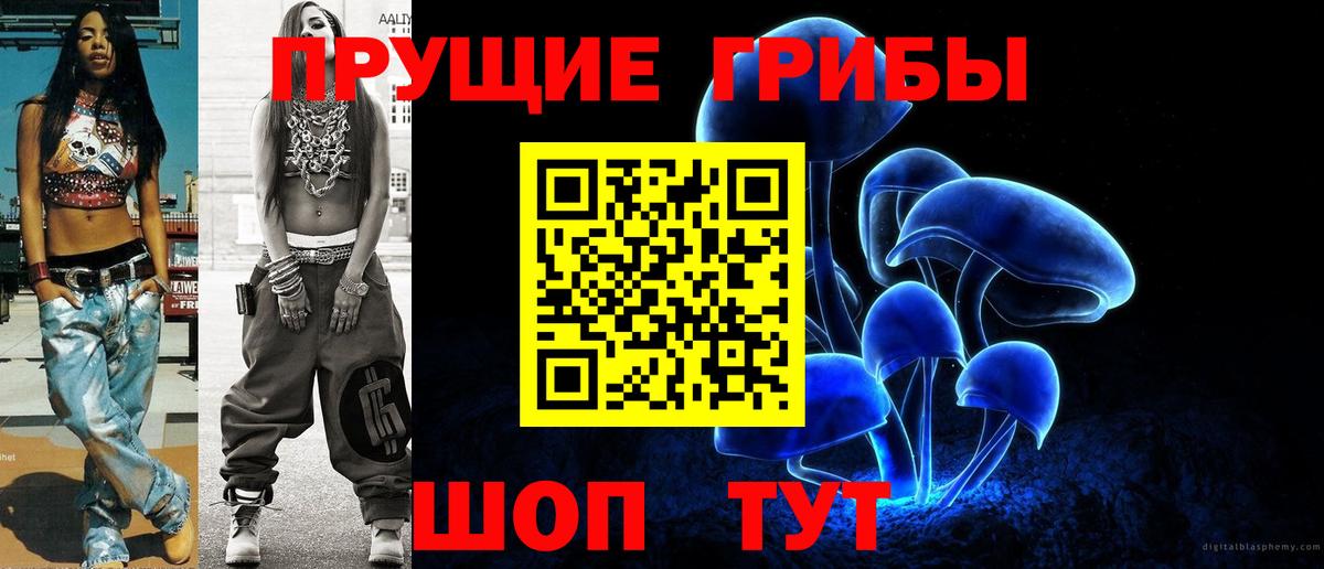 Галлюциногенные грибы мицелий  Вход с VPN  Лесной  Галлюциногенные грибы Psilocybe 