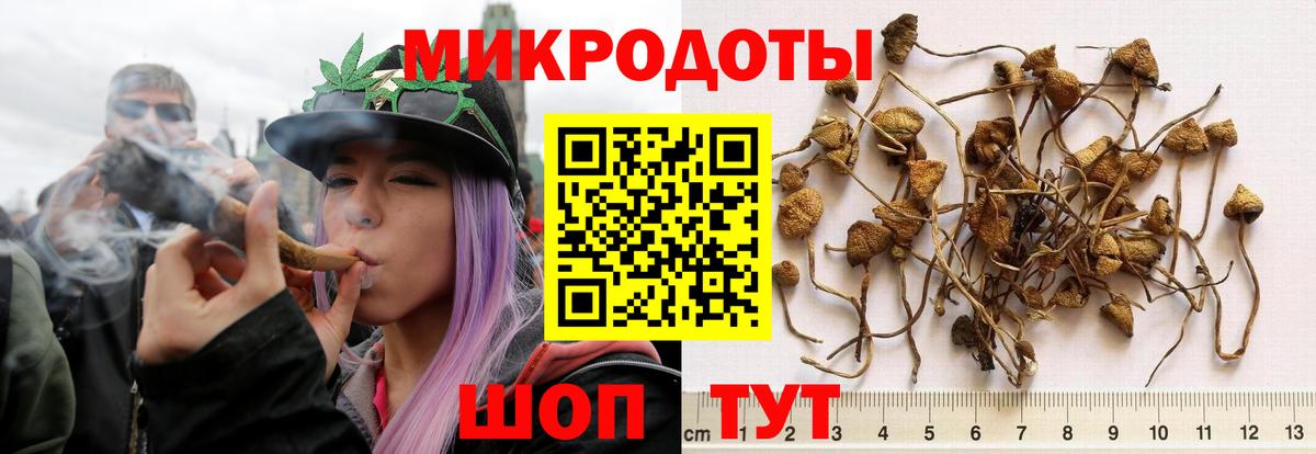 Псилоцибиновые грибы GOLDEN TEACHER Лесной