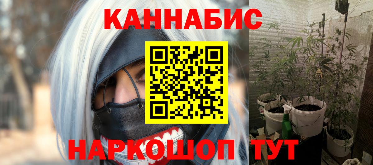 Канабис White Widow Лесной